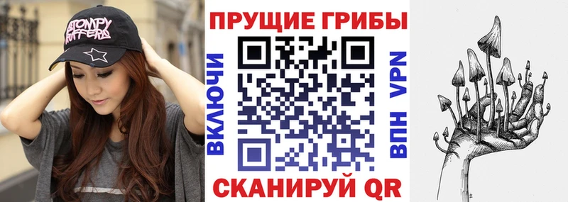 Псилоцибиновые грибы Psilocybine cubensis  Купить закладки  Нестеровская 